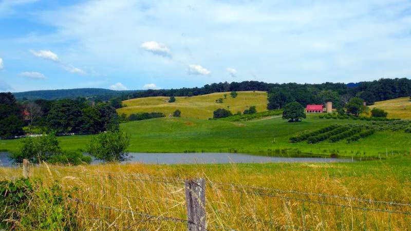 Valley View Farm - Delaplane, VA
