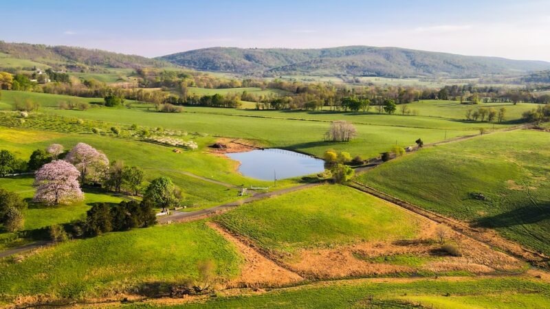 Valley View Farm - Delaplane, VA