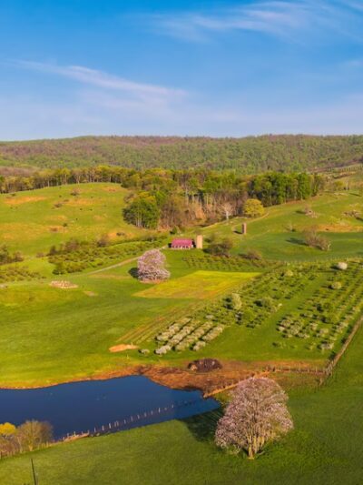 Valley View Farm - Delaplane, VA