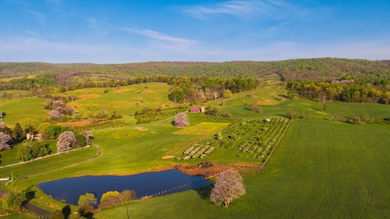 Valley View Farm - Delaplane, VA