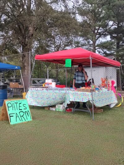 Delight City Park - Delight, AR