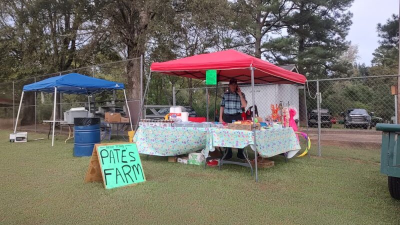 Delight City Park - Delight, AR