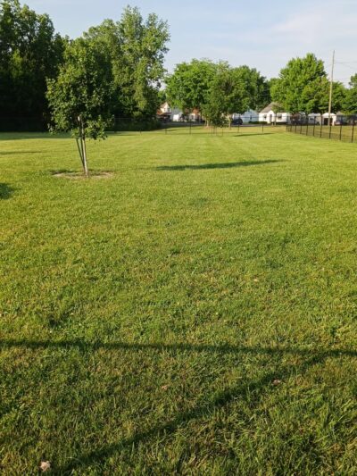 Bev's Dog Run - Delphos, OH