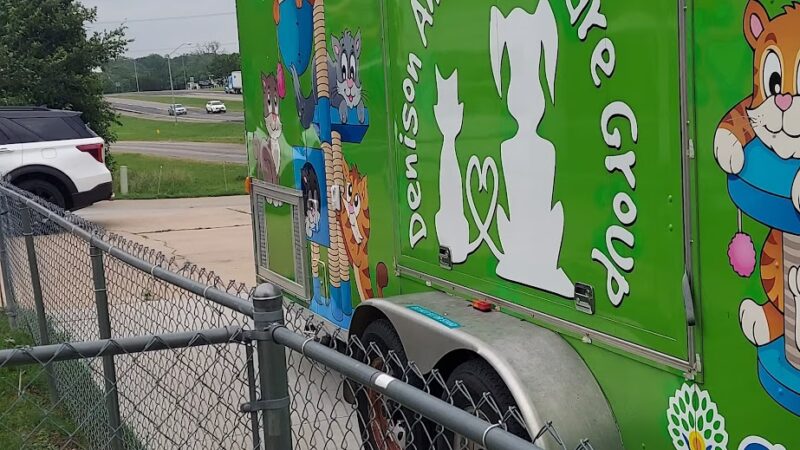 Denison Animal Welfare Group (DAWG) - Denison, TX