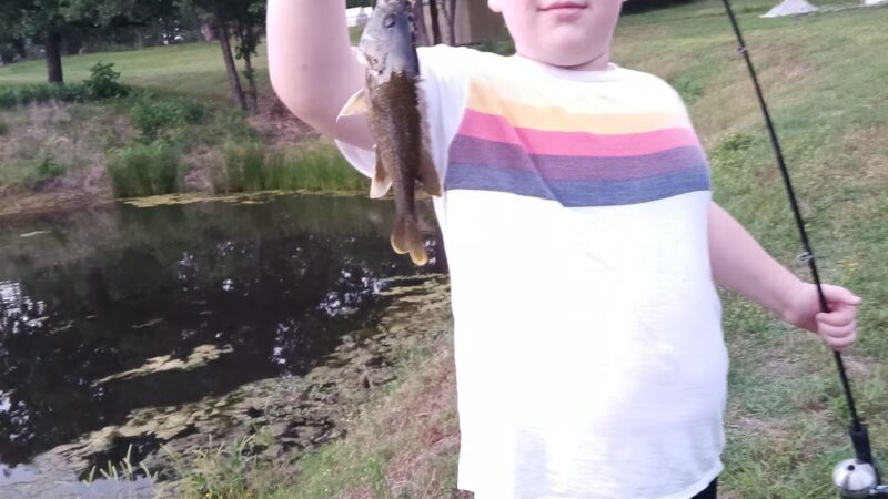 Jones Park - Denison, TX