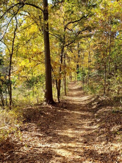 Waterloo Park - Denison, TX