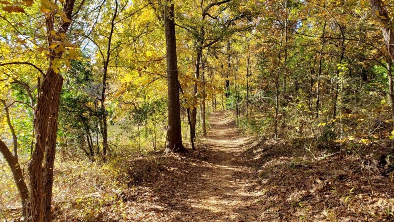 Waterloo Park - Denison, TX