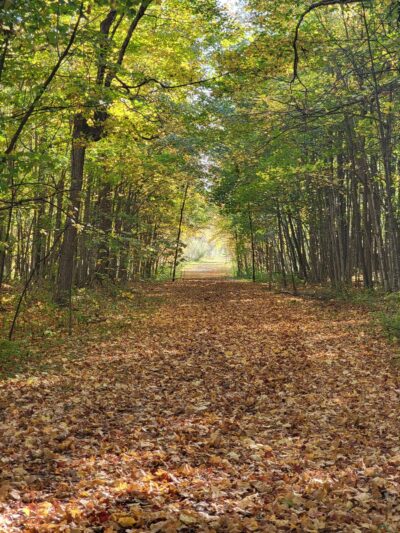 Neshota Park - Denmark, WI