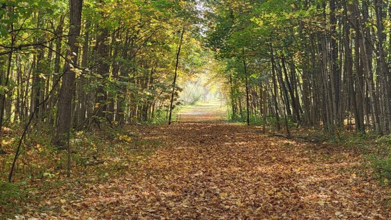 Neshota Park - Denmark, WI