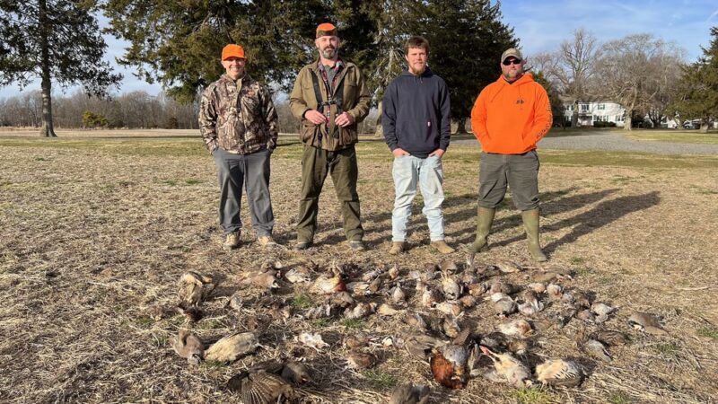 Caroline County Shooting Preserve - Denton, MD