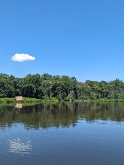 Martinak Boat Ramp - Denton, MD