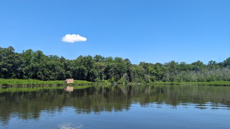 Martinak Boat Ramp - Denton, MD