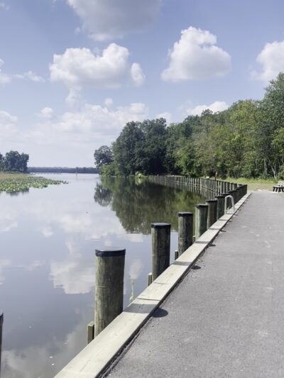 Martinak State Park - Denton, MD