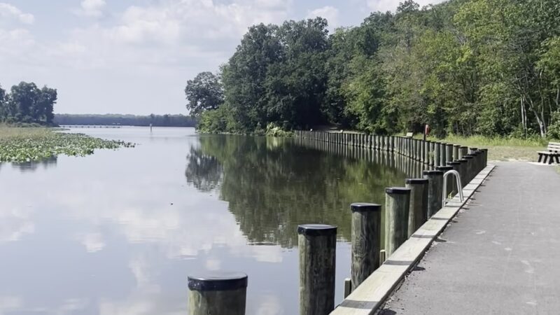 Martinak State Park - Denton, MD