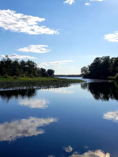 Martinak State Park - Denton, MD