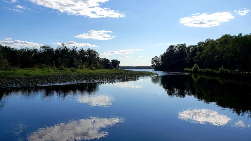 Martinak State Park - Denton, MD