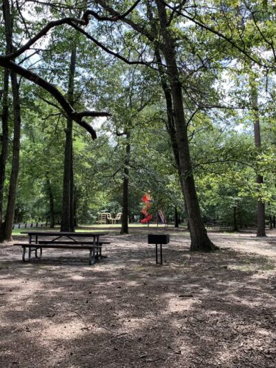 Martinak State Park - Denton, MD