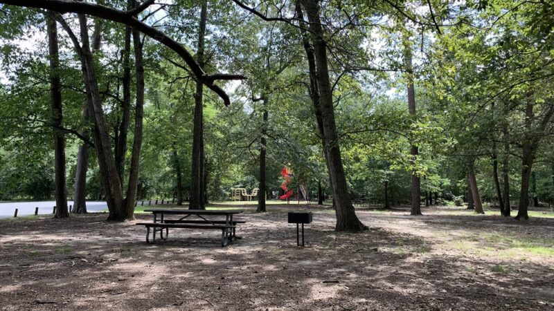 Martinak State Park - Denton, MD