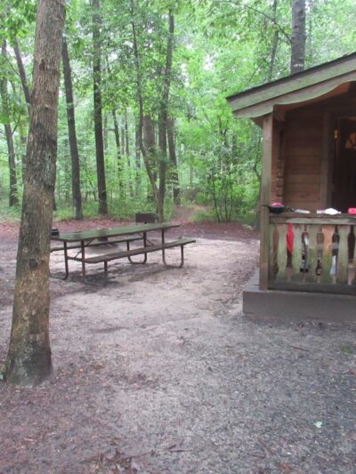 Martinak State Park, Campground, Loop A - Denton, MD
