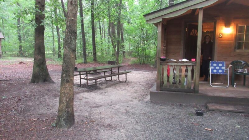 Martinak State Park, Campground, Loop A - Denton, MD