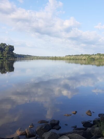 Martinak State Park, Campground, Loop A - Denton, MD