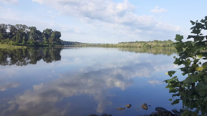 Martinak State Park, Campground, Loop A - Denton, MD