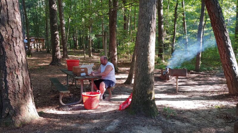 Martinak State Park, Campground, Loop A - Denton, MD