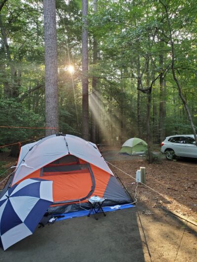 Martinak State Park, Campground, Loop A - Denton, MD