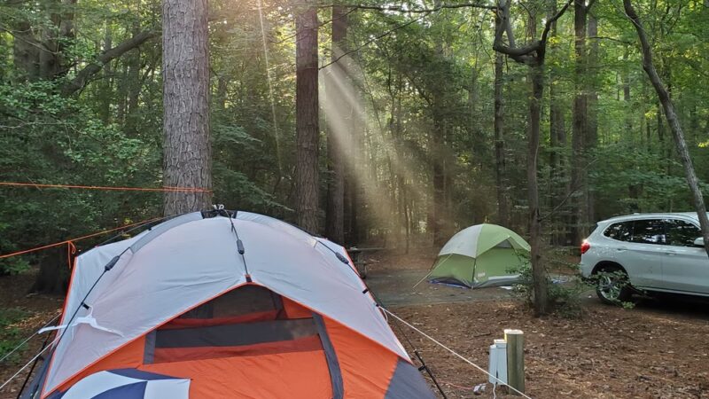 Martinak State Park, Campground, Loop A - Denton, MD