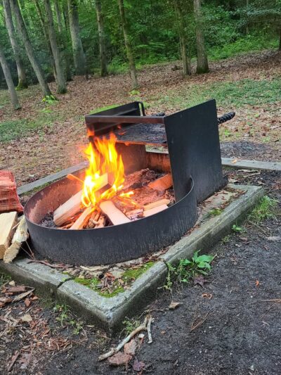 Martinak State Park, Campground, Loop A - Denton, MD