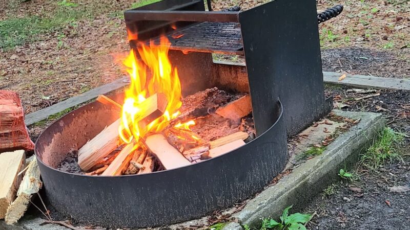 Martinak State Park, Campground, Loop A - Denton, MD