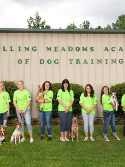 Rolling Meadows Academy of Dog Training - Denton, NC