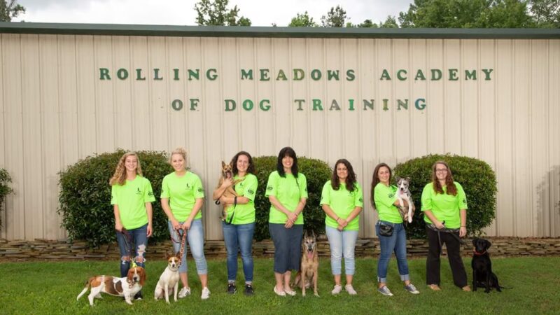 Rolling Meadows Academy of Dog Training - Denton, NC