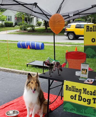 Rolling Meadows Academy of Dog Training - Denton, NC