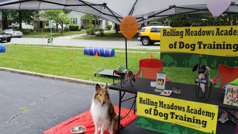 Rolling Meadows Academy of Dog Training - Denton, NC