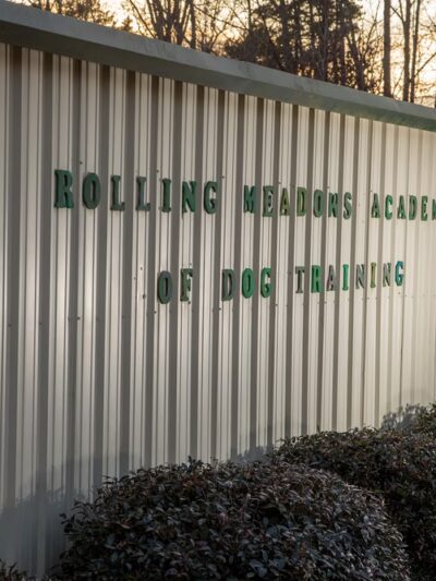 Rolling Meadows Academy of Dog Training - Denton, NC