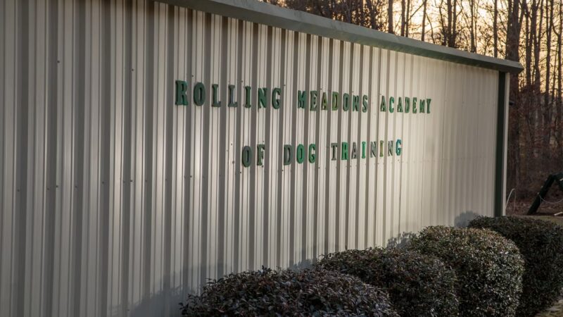 Rolling Meadows Academy of Dog Training - Denton, NC