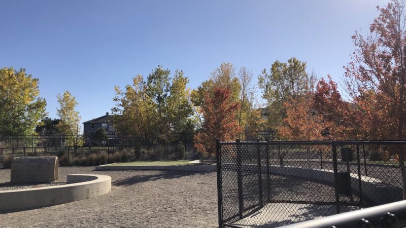 Dog Park Off-Leash Area - Denver, CO