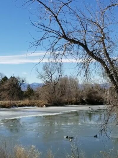 Highline Canal - Denver, CO