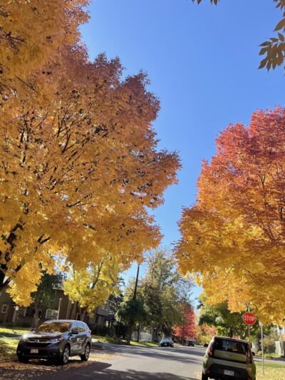 Mayfair Park - Denver, CO