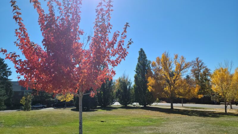 Mayfair Park - Denver, CO