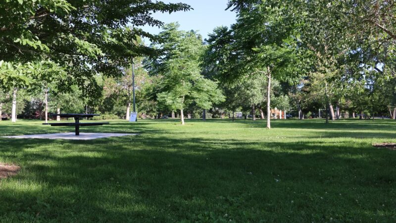 Alamo Placita Park - Denver, CO