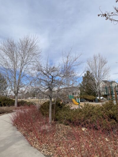 Bayaud Park - Denver, CO