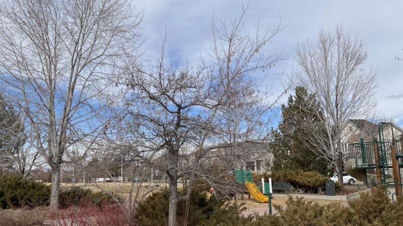Bayaud Park - Denver, CO