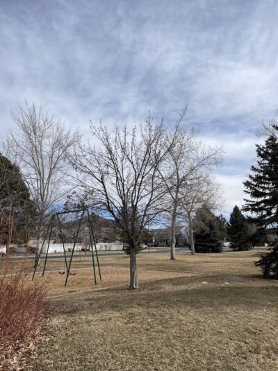 Bayaud Park - Denver, CO