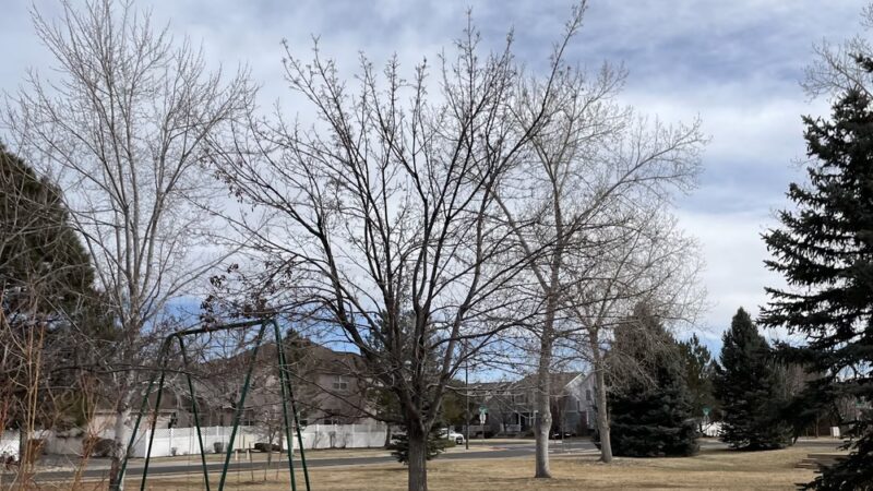 Bayaud Park - Denver, CO