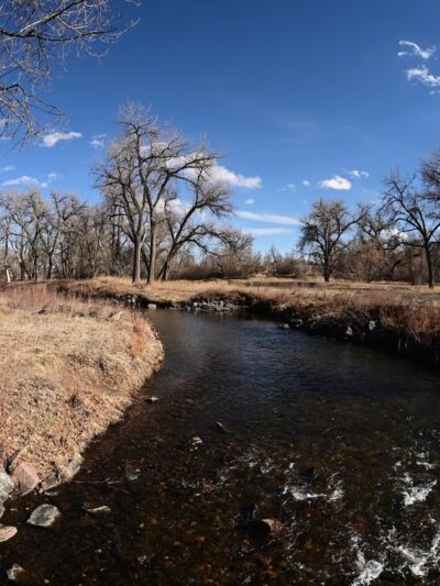 Bear Creek Park 1 - Denver, CO