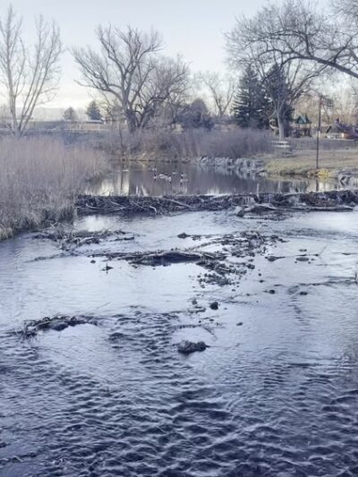 Bear Creek Park 1 - Denver, CO