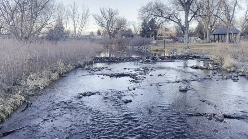 Bear Creek Park 1 - Denver, CO