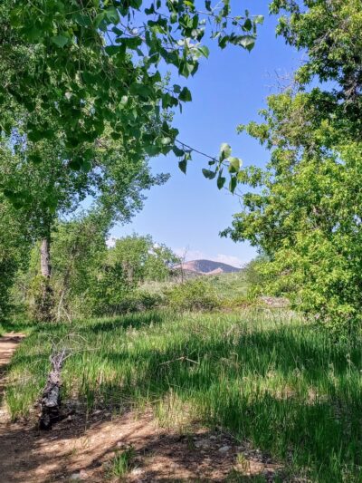 Bear Creek Park 1 - Denver, CO